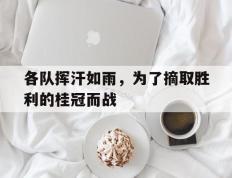 各队挥汗如雨，为了摘取胜利的桂冠而战的简单介绍