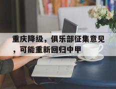 重庆降级，俱乐部征集意见，可能重新回归中甲的简单介绍