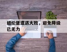 纽伦堡遭遇大败，避免降级已无力的简单介绍