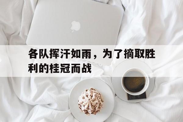各队挥汗如雨，为了摘取胜利的桂冠而战的简单介绍