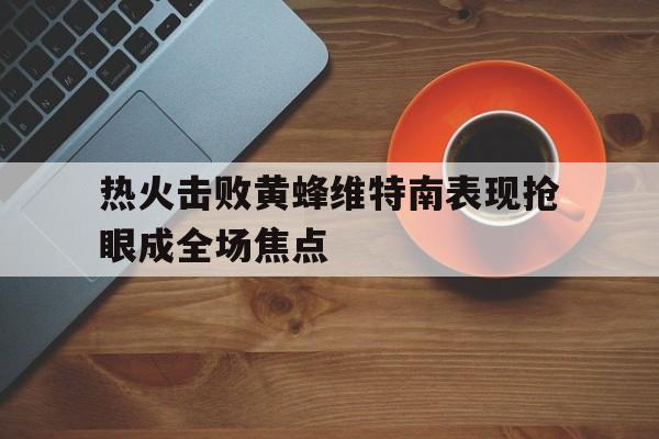 热火击败黄蜂维特南表现抢眼成全场焦点